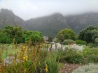 Kirstenbošas botāniskais dārzs. Nākamais ceļojums uz Āfriku notiks decembrī. Piesakieties jau tagad - šeit 27