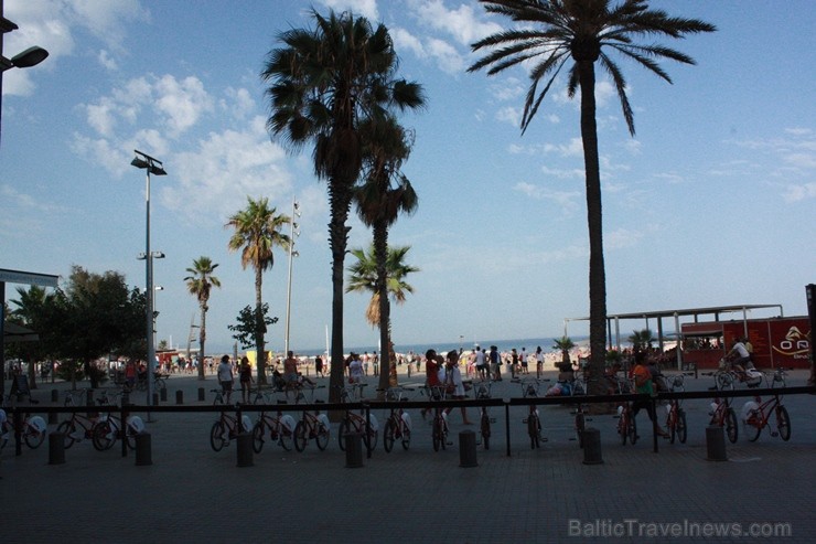 Barseloneta ir pilsētas centrālā pludmale, kas atrodas pavisam netālu no pilsētas centra 116974