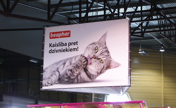 Vēl svētdien ir iespēja apmeklēt lielāko un mīļāko mājdzīvnieku izstādi «Petekspo. Latvijas uzvarētājs 2014» Ķīpsalā Vēl svētdien ir iespēja apmeklēt lielāko un mīļāko mājdzīvnieku izstādi «Petekspo. Latvijas uzvarētājs 2014» Ķīpsalā 117398