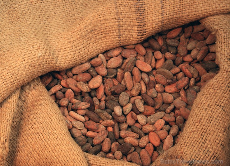 Muzejā iespējams ieskatīties šokolādes senajā pagātnē, aplūkot maiju un acteku šokolādes gatavošanas tradīcijas, kā arī ielūkoties šokolādes gatavošan 118141