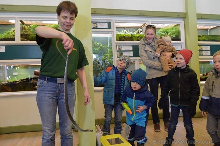 16. aprīlī svinīgā pasākumā Rīgas Zooloģiskajā dārzā tika atklāta Latvijas rāpuļu un abinieku māja 119136