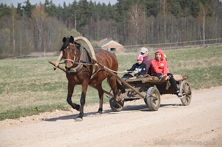 Zirga pajūgā apceļojam zudušās latgaliešu sādžas... Vanagišķi, Lozdovski, Ojatnīki 119248