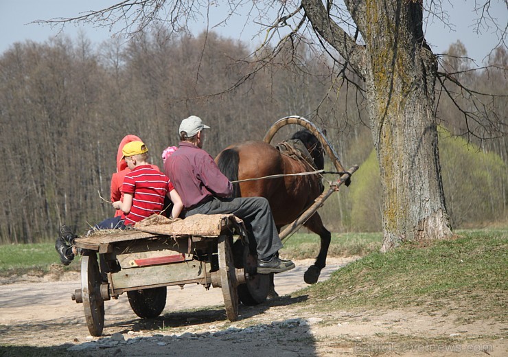 Zirga pajūgā apceļojam zudušās latgaliešu sādžas... Vanagišķi, Lozdovski, Ojatnīki 119250