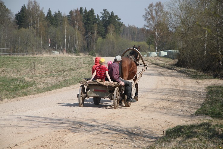 Zirga pajūgā apceļojam zudušās latgaliešu sādžas... Vanagišķi, Lozdovski, Ojatnīki 119251