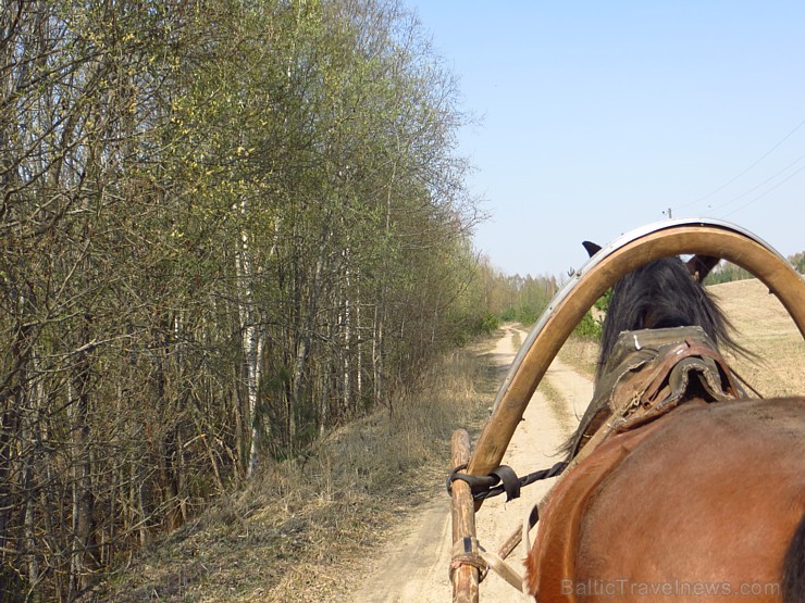 Zirga pajūgā apceļojam zudušās latgaliešu sādžas... Vanagišķi, Lozdovski, Ojatnīki 119256
