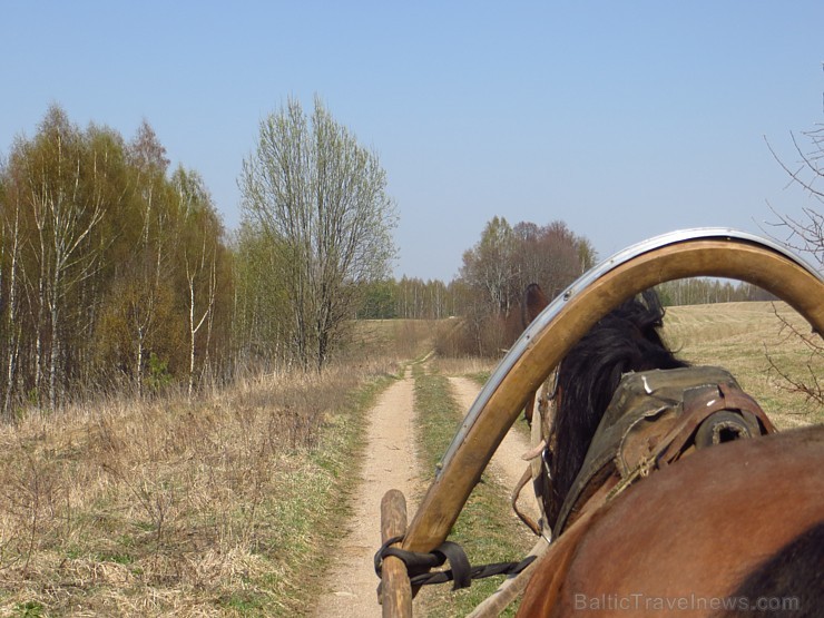 Zirga pajūgā apceļojam zudušās latgaliešu sādžas... Vanagišķi, Lozdovski, Ojatnīki 119259
