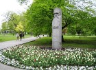 Vairākos Rīgas parkos uzziedējušas desmitiem tūkstošu pērn pašvaldības SIA Rīgas meži daļas Dārzi un parki dārznieku stādīto tulpju sīpolu 9