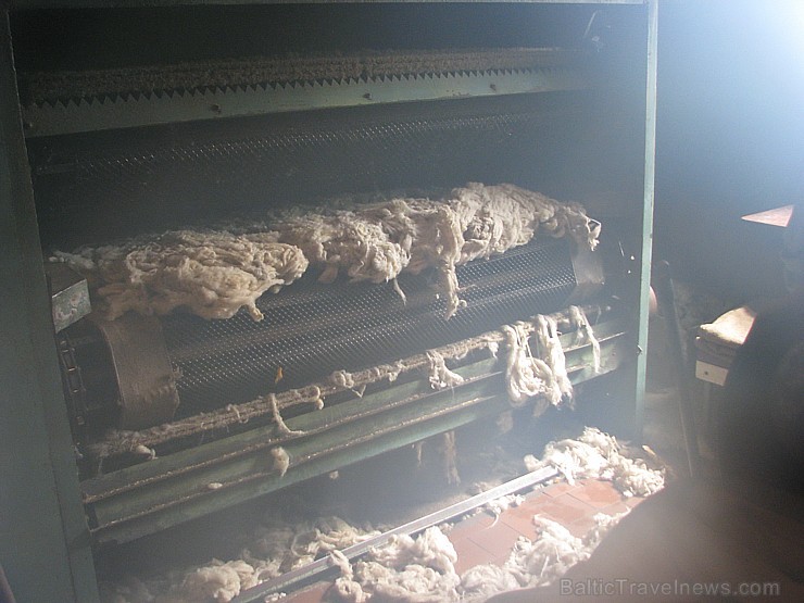 Visa vilna tiek savākta no Latvijas aitkopjiem, un liela daļa produkcijas paliek Latvijā. To izmanto arī tautas tērpu darinātāji. Pagājušajos Dziesmu  122178