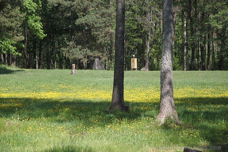 Latgales kempings «Sivers» atrodas Krāslavas novadā un ir burvīga atpūtas vieta tuvāk dabai un veselībai. Vairāk informācijas - 29278599 (Inga) Latgales kempings «Sivers» atrodas Krāslavas novadā un ir burvīga atpūtas vieta tuvāk dabai un veselībai. Vairāk informācijas - 29278599 (Inga) 126795