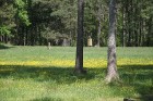 Latgales kempings «Sivers» atrodas Krāslavas novadā un ir burvīga atpūtas vieta tuvāk dabai un veselībai. Vairāk informācijas - 29278599 (Inga) 6