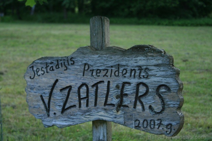Ozolu pie Staburaga piemiņas vietas 2007. gadā ir iestādījis bijušais Latvijas valsts prezidents Valdis Zatlers 126826