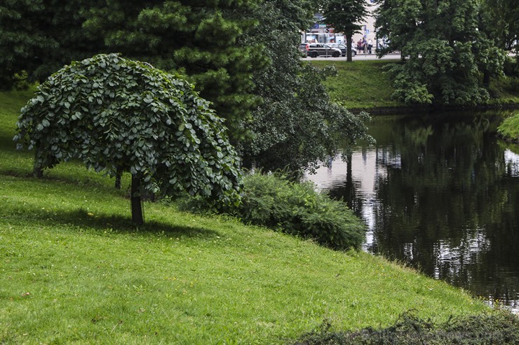 Travelnews.lv redakcija apskata Vecrīgu no Rīgas kanāla un Daugavas ūdeņiem 128697