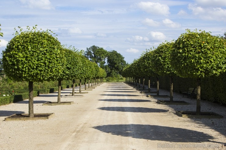 10 ha lielais baroka stila franču dārzs ir ievērojamākais vēsturiskais dārzs Baltijā. Dārzs tika ierīkots paralēli pils būvniecībai no 1736. līdz 1740 10 ha lielais baroka stila franču dārzs ir ievērojamākais vēsturiskais dārzs Baltijā. Dārzs tika ierīkots paralēli pils būvniecībai no 1736. līdz 1740 130453