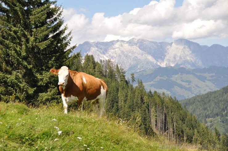Impro ceļotāju grupa augusta sākumā iepazina Austrijas dabas dārgumus - www.novatours.lv 133373