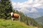 Impro ceļotāju grupa augusta sākumā iepazina Austrijas dabas dārgumus - www.novatours.lv 9