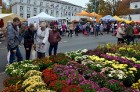 Sestdien, 11.oktobrī, Valmierā tika aizvadīts tradicionālais Simjūda gadatirgus. Šogad tas bija īpaši apmeklēts un priecēja kā pircējus, tā pārdevējus 10