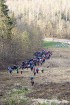 25.10.2014 norisinājās Siguldas kalnu maratons, kura laikā dalībnieki cīnījās trīs distancēs 8