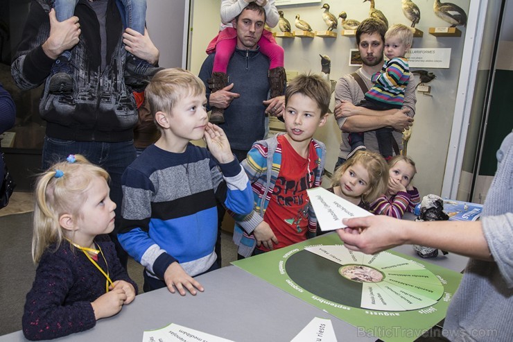 Vilku vakarā Dabas muzejs iepazīstina apmeklētājus ar vilku dzīves ritumu 137560