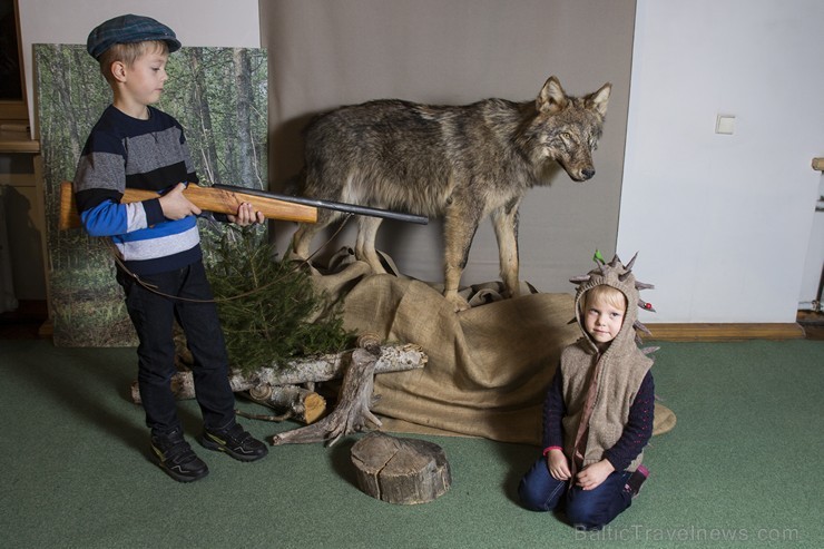 Vilku vakarā Dabas muzejs iepazīstina apmeklētājus ar vilku dzīves ritumu 137571