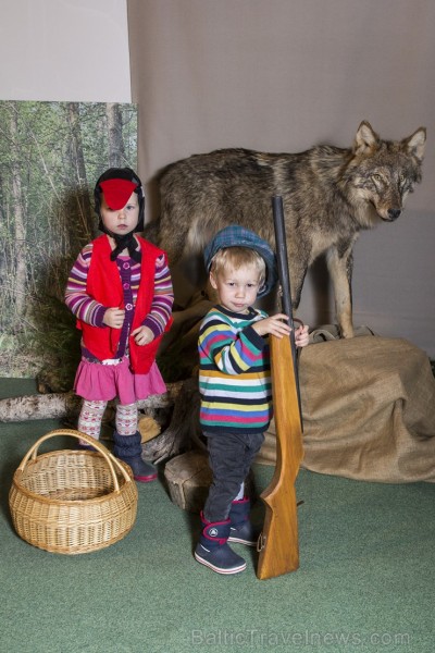 Vilku vakarā Dabas muzejs iepazīstina apmeklētājus ar vilku dzīves ritumu 137573