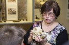 Vilku vakarā Dabas muzejs iepazīstina apmeklētājus ar vilku dzīves ritumu 11