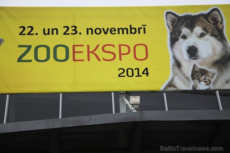 Ķīpsalā divas dienas pulcējas mājdzīvnieku un mājputnu mīļotāji uz «ZooEkspo 2014». Vairāk informācijas - www.Bt1.lv Ķīpsalā divas dienas pulcējas mājdzīvnieku un mājputnu mīļotāji uz «ZooEkspo 2014». Vairāk informācijas - www.Bt1.lv 138516