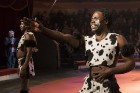 Rīgas Cirks atklāj jaunu programmu «Āfrikas svelme» 45