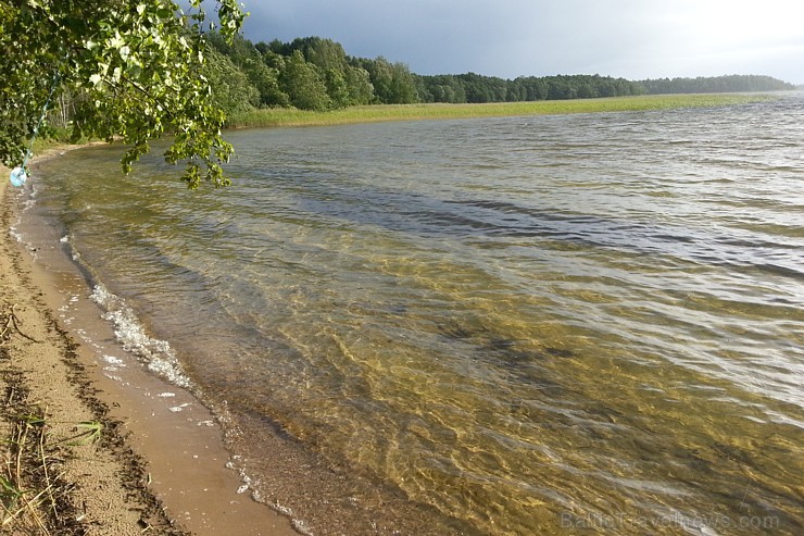 Sivera ezers Latgalē ir devītais lielākais ezers Latvijā un ir iecienīts ne tikai tūristu vidū, bet tagad arī pasaules biologu interesēs 139640