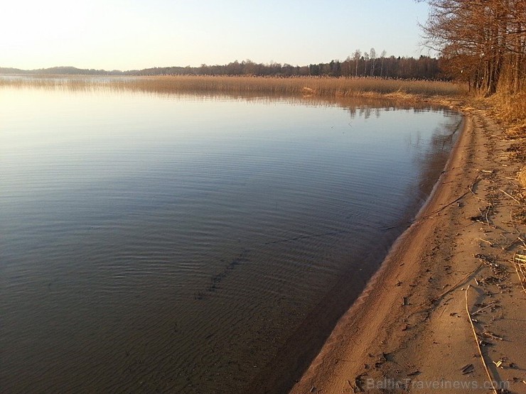 Sivera ezers Latgalē ir iecienīts ne tikai tūristu vidū, bet tagad arī pasaules biologu interesēs 139675