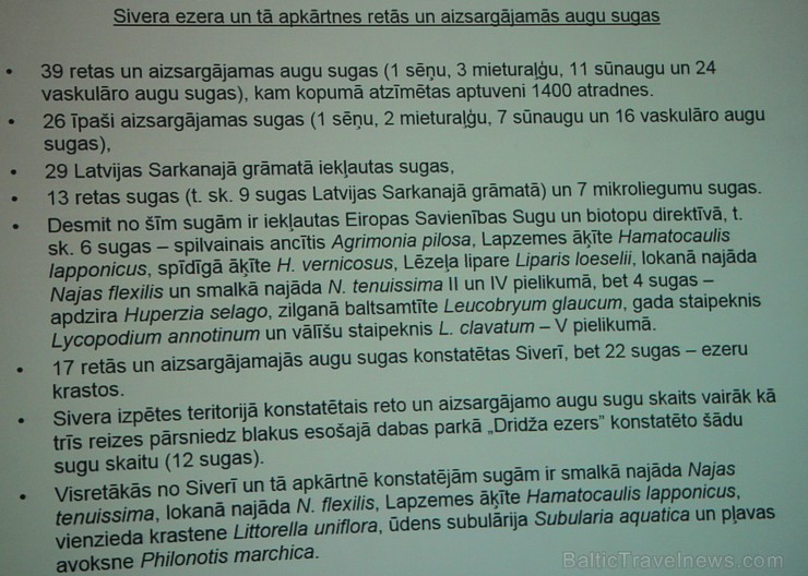 Sivera ezers Latgalē ir iecienīts ne tikai tūristu vidū, bet tagad arī pasaules biologu interesēs Sivera ezers Latgalē ir iecienīts ne tikai tūristu vidū, bet tagad arī pasaules biologu interesēs 139683