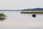 Sivera ezers Latgalē ir iecienīts ne tikai tūristu vidū, bet tagad arī pasaules biologu interesēs 12