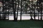 Sivera ezers Latgalē ir iecienīts ne tikai tūristu vidū, bet tagad arī pasaules biologu interesēs 23