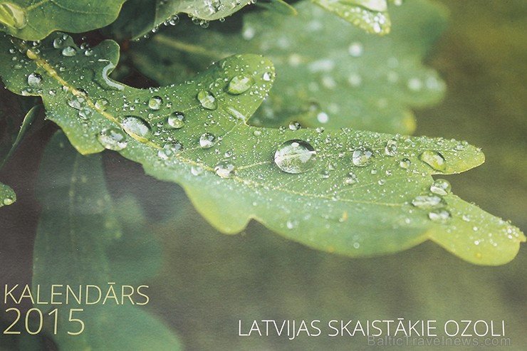 Ar 2015. gada kalendāra prezentāciju noslēdzies Ozols Grupa rīkotais fotokonkurss Latvijas skaistākie ozoli 139715