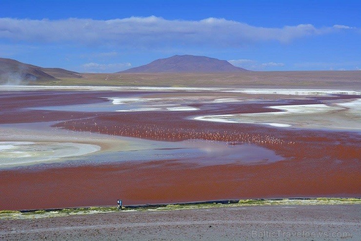 Bolīvija visdrīzāk ir krāsām bagātākā ezeru zeme uz planētas, jo lagūnas šeit pat ir dzeltenos, melnos un sarkanos toņos - 
Foto: Laguna Colorada jeb 140740
