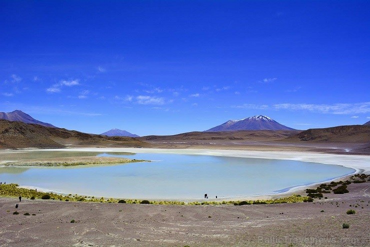 Eduardo Avaroa Nacionālais parks bez sirreālā Dali tuksneša sargā vēl sirreālākas un krāsainākas lagūnas, jeb seklus Andu grēdas ezeriņus - 
Foto: La 140741