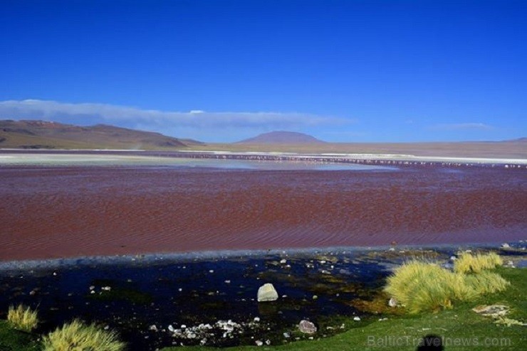 Laguna Colorada ezers pirms saulrieta, iegūstot tumšu sarkanu nokrāsu 140746