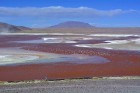 Bolīvija visdrīzāk ir krāsām bagātākā ezeru zeme uz planētas, jo lagūnas šeit pat ir dzeltenos, melnos un sarkanos toņos - 
Foto: Laguna Colorada jeb 6
