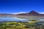 Laguna Blanca piekrastē saulē zaigojas dažādu krāsu minerāli fotogrāfijās kompensējot dīvaini balti-bezkrāsaino ezeru 13