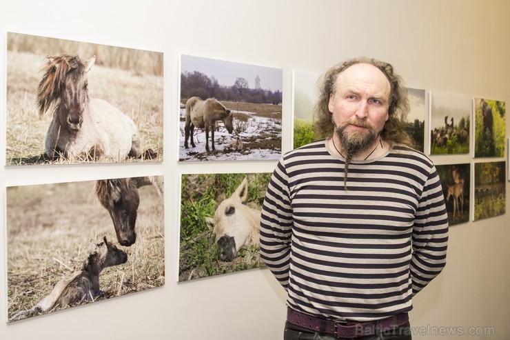Latvijas Dabas muzejā noticis izglītojošs pasākums, kurā dabas pētnieks Einārs Nordmanis ar priekšlasījumu par savvaļas zirgiem Zooloģijas ekspozīcijā Latvijas Dabas muzejā noticis izglītojošs pasākums, kurā dabas pētnieks Einārs Nordmanis ar priekšlasījumu par savvaļas zirgiem Zooloģijas ekspozīcijā 141110
