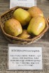 Latvijas dabas muzejā apskatāma ābolu izstāde «Latvijas sārtvaidži 2015» 3