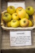Latvijas dabas muzejā apskatāma ābolu izstāde «Latvijas sārtvaidži 2015» 13