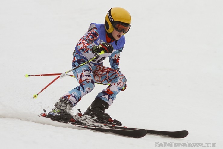 Latvijas kausa pirmais posms kalnu slēpošanā Siguldā pulcē labākos Baltijas sportistus 141971