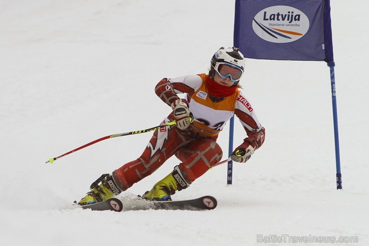 Latvijas kausa pirmais posms kalnu slēpošanā Siguldā pulcē labākos Baltijas sportistus 141977