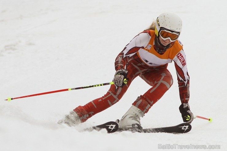 Latvijas kausa pirmais posms kalnu slēpošanā Siguldā pulcē labākos Baltijas sportistus 141981