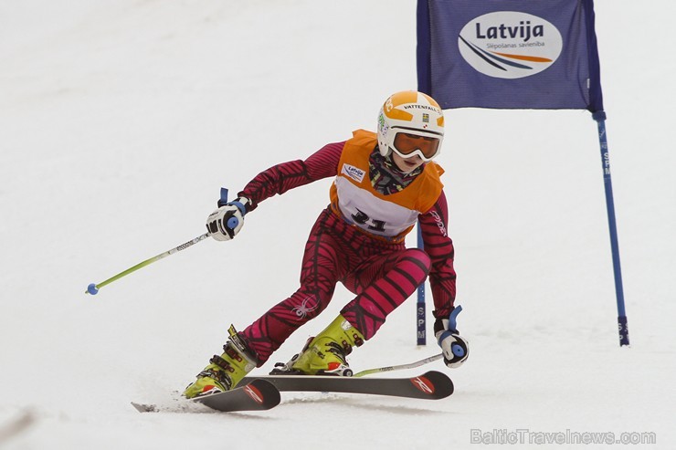 Latvijas kausa pirmais posms kalnu slēpošanā Siguldā pulcē labākos Baltijas sportistus 141988