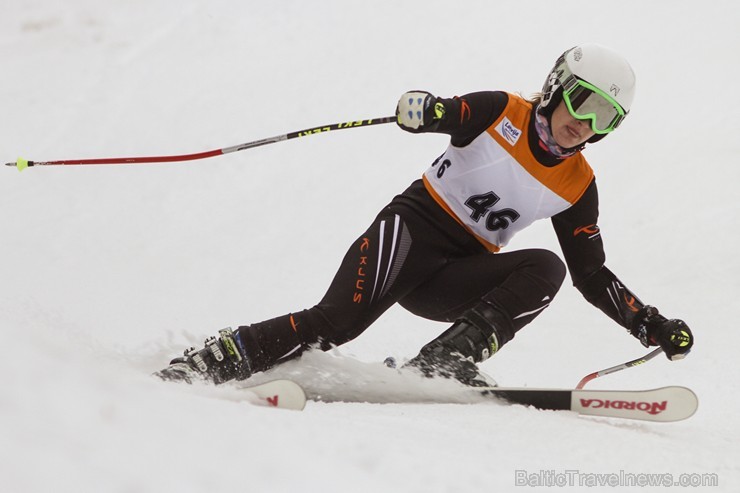 Latvijas kausa pirmais posms kalnu slēpošanā Siguldā pulcē labākos Baltijas sportistus 142001