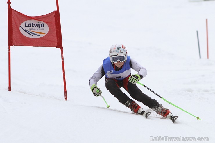 Latvijas kausa pirmais posms kalnu slēpošanā Siguldā pulcē labākos Baltijas sportistus 142014