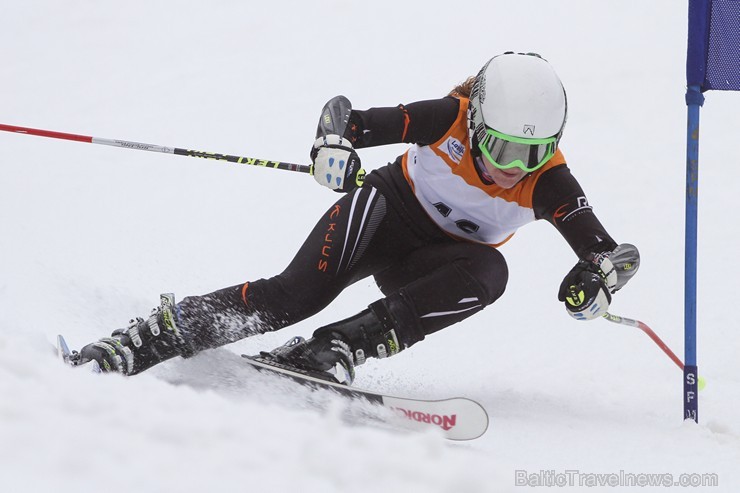 Latvijas kausa pirmais posms kalnu slēpošanā Siguldā pulcē labākos Baltijas sportistus 142020