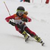 Latvijas kausa pirmais posms kalnu slēpošanā Siguldā pulcē labākos Baltijas sportistus 49