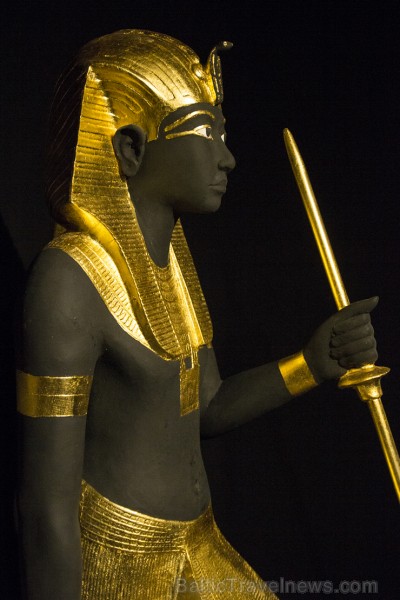Galerijā «Centrs» atklāta Ēģiptes faraona Tutanhamona dārgumu izstāde 142869